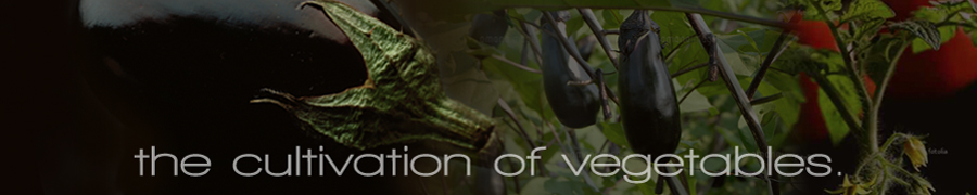 おいしく育てる技術