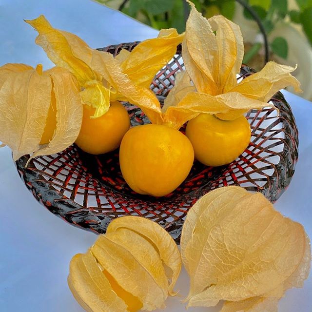 ゴールデンベリー