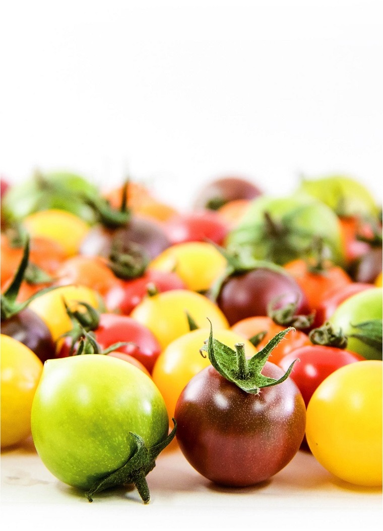 ミニトマト赤、黄、緑、紫、橙