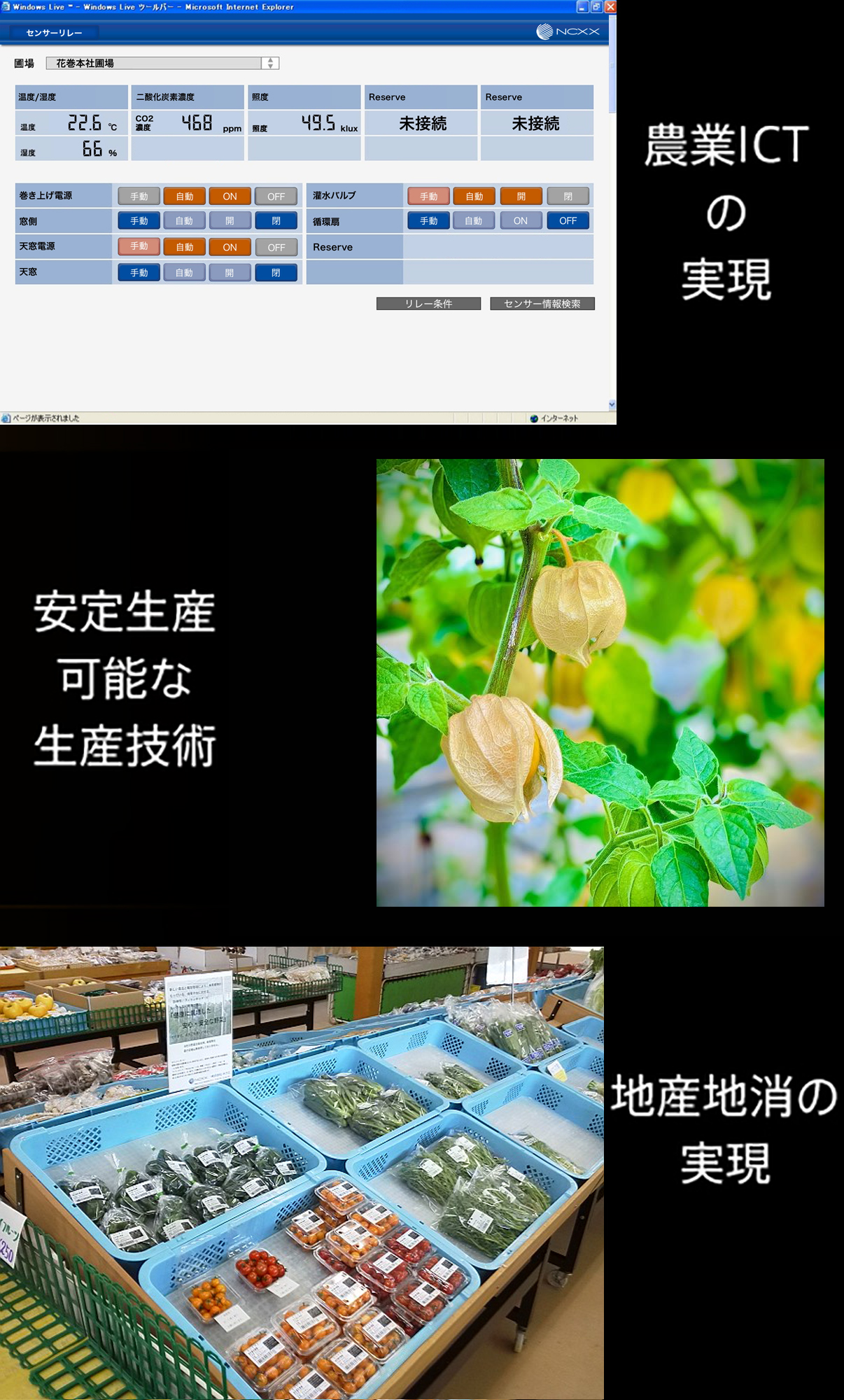 NCXXが野菜をつくる理由