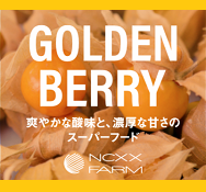 GOLDEN BERRY