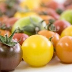 IT野菜　/　ミニトマト150gパック　お好みチョイス