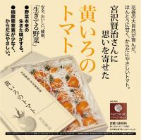 宮沢賢治さんに思いを寄せた「黄いろのトマト」