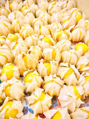 GOLDEN BERRY 1kg SET(2021年1月頃出荷予定)